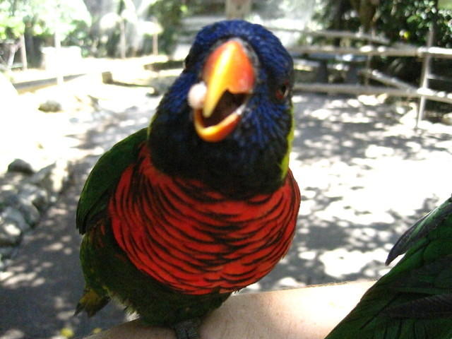 IMG_1226.JPG