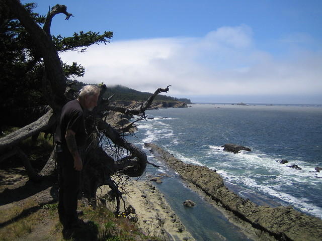 Mick enjoying watching the seals