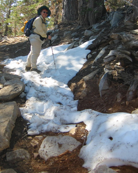 TBM Snow Trail.jpg