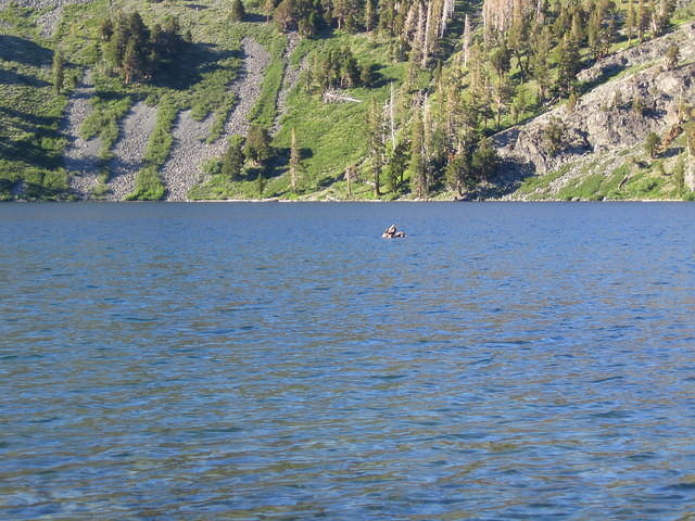 IMG_1718.jpg