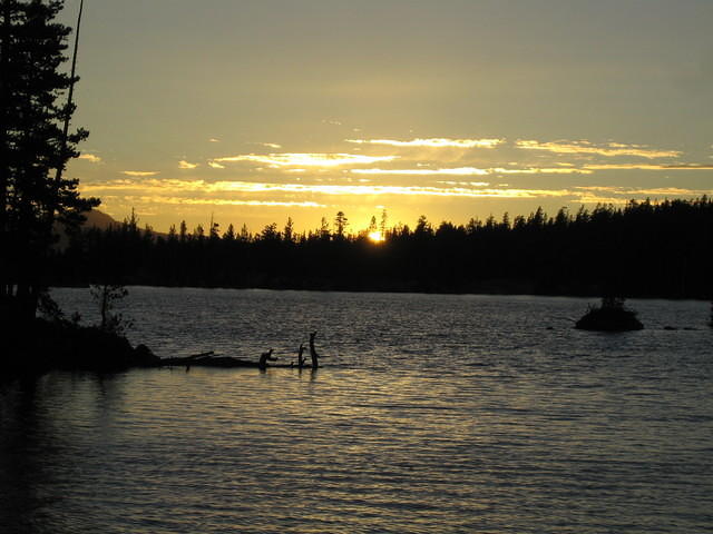 IMG_1768.jpg