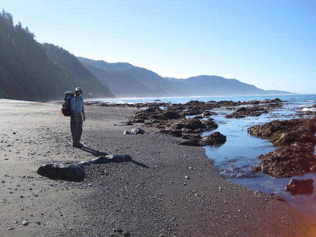 Tide pooling a low tide