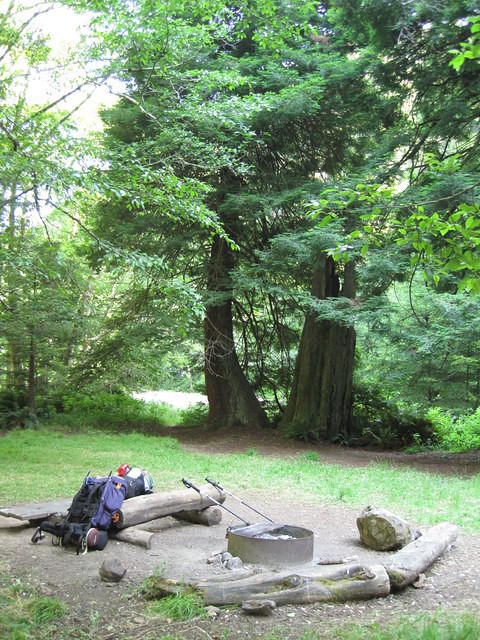 Our campsite in the School Marm redwood grove