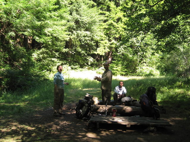 Chillin' in the redwood grove