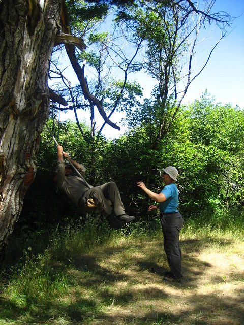 We found a tree swing in another campsite near Wheeler