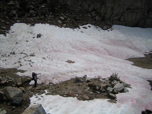 IMG_1617.jpg