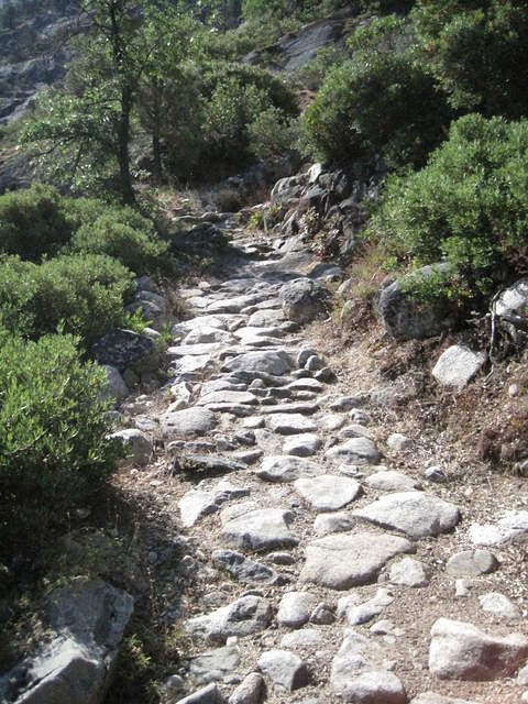 Climbing the switchbacks out of Pate Valley.  We had a 3600 ft. elevation gain ahead of us.