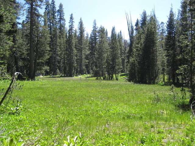 Half Moon Meadow