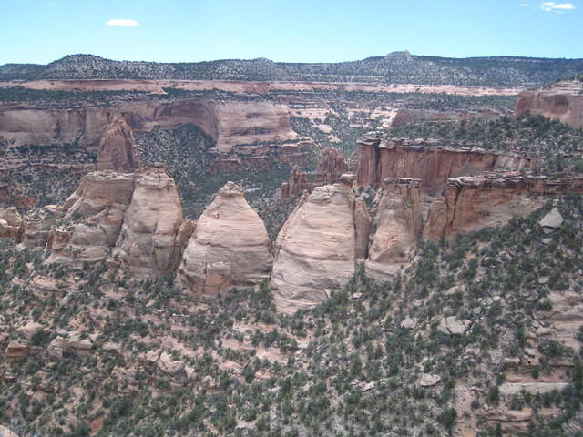 IMG_7301.JPG