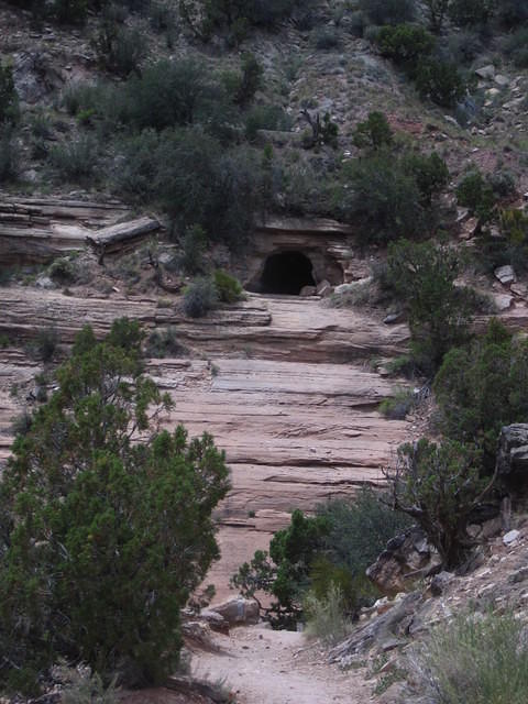 IMG_7309.JPG