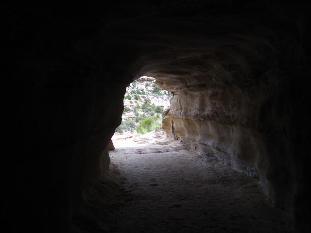 IMG_7312.JPG