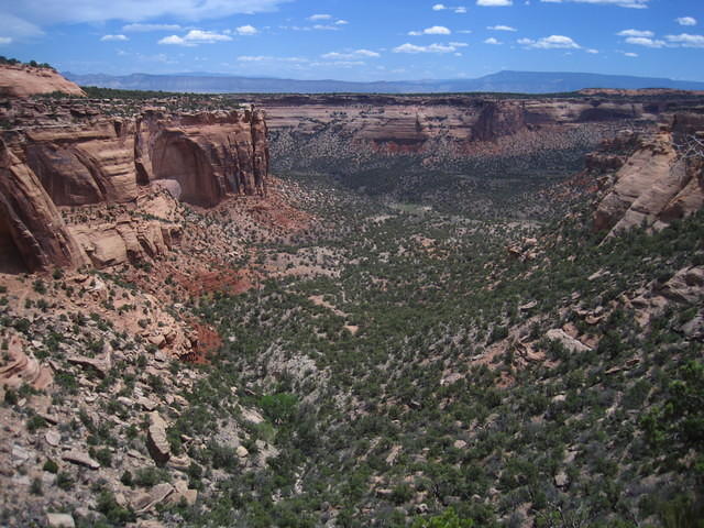 IMG_7319.JPG