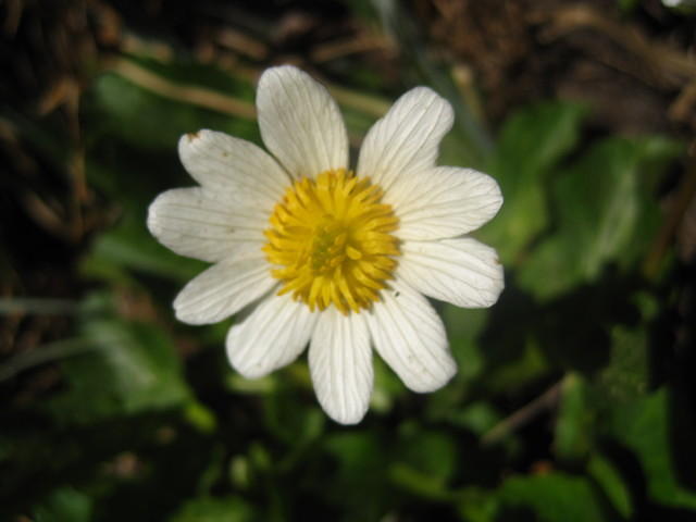 IMG_7397.JPG