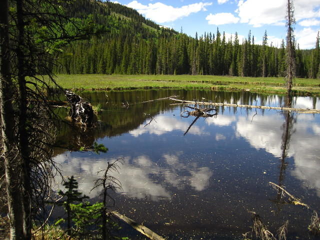 IMG_7503.JPG