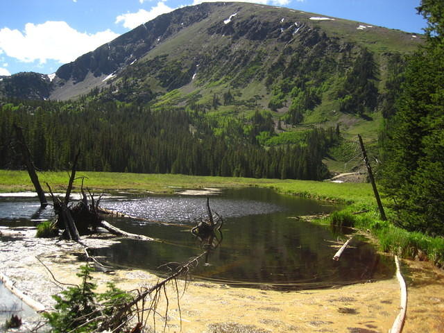 IMG_7515.JPG