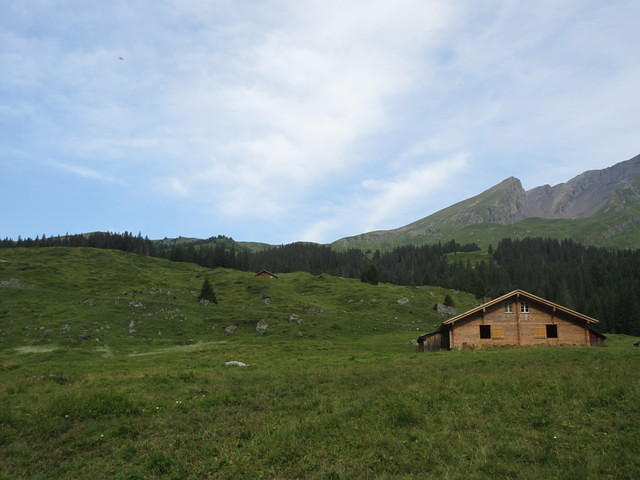 IMG 5962