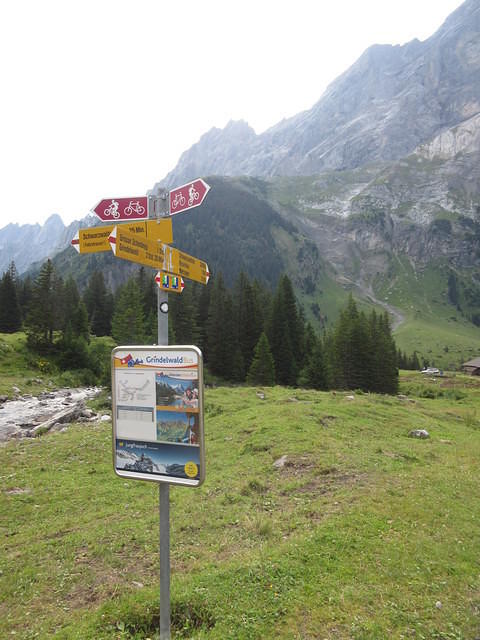 IMG 5969