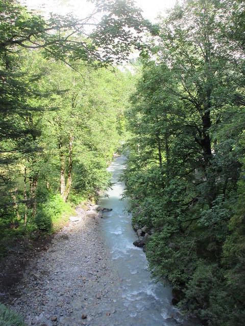 IMG 6300