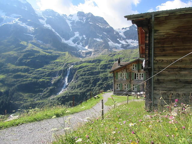 IMG 6434