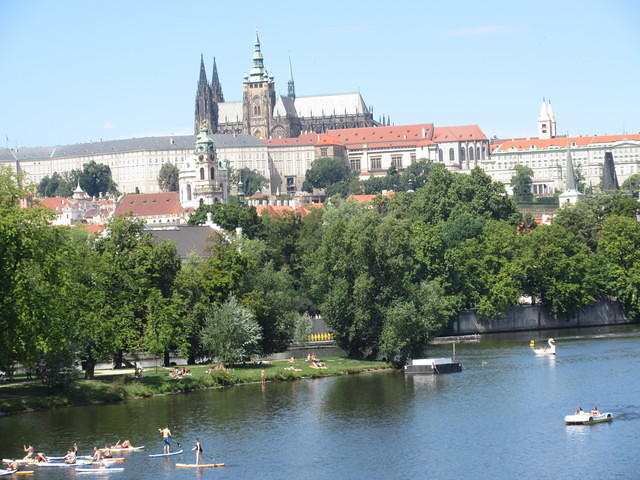 IMG 7617