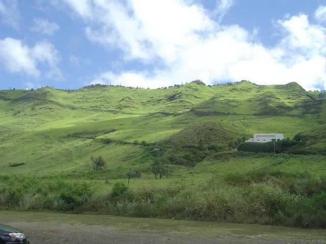 DSC01118.JPG