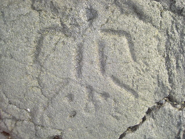 Petroglyph of a turtle laying eggs.