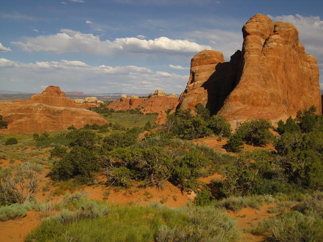 IMG_1155.JPG