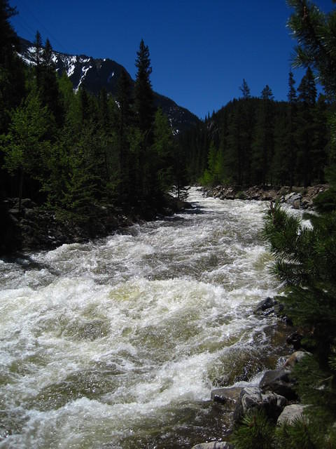 IMG_1572.JPG