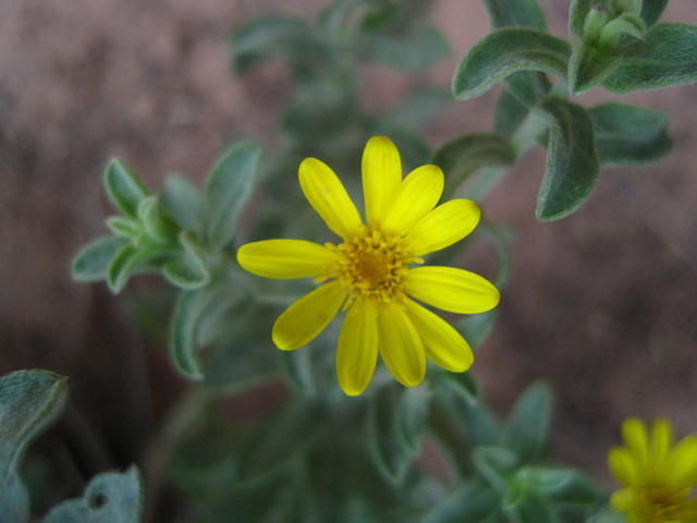 IMG_1736.JPG