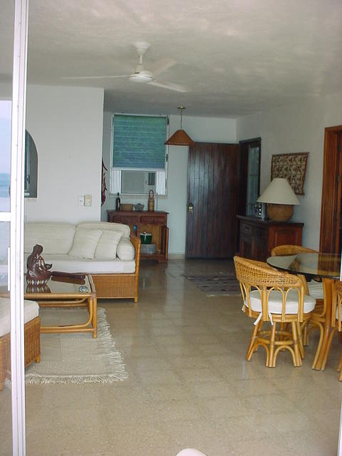 manzanillo 004.jpg