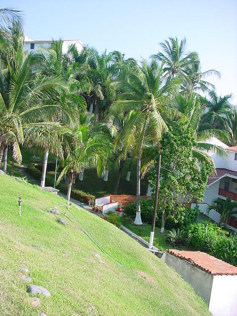 manzanillo 008.jpg