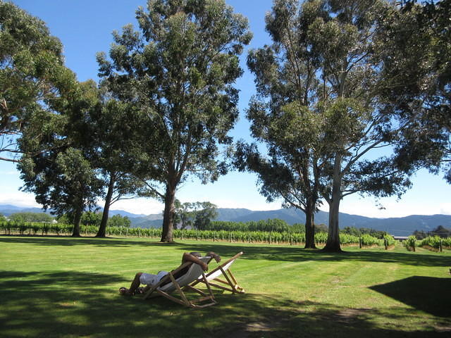 Relaxing at the Cloudy Bay winery