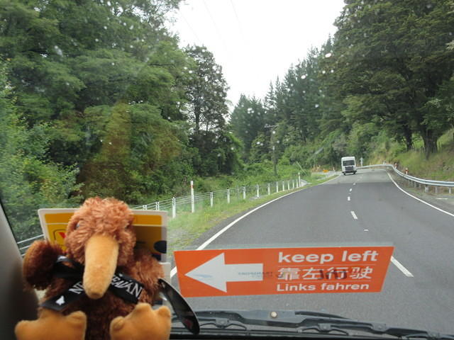 My view of my kiwi and the keep left reminder.