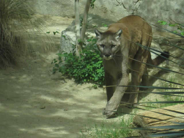 IMG_6875.JPG