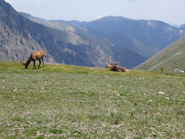 IMG_5826.jpg