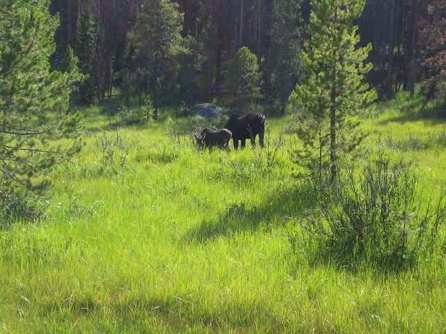 IMG_5843.jpg