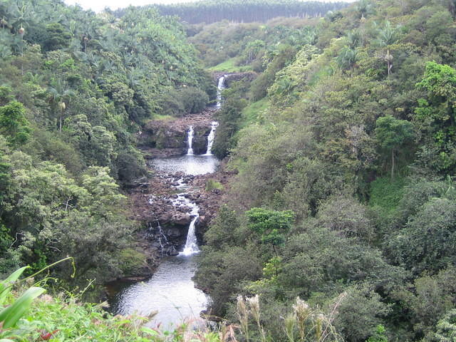 Umauma Waterfalls at the World Botanical Gardens