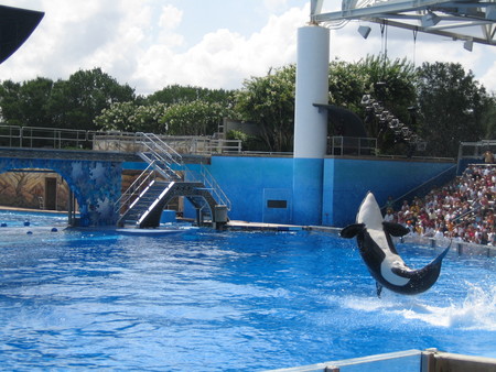 Sea World