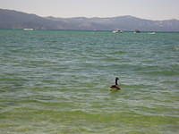 IMG_5227.JPG