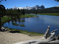 Beautiful lunch spot