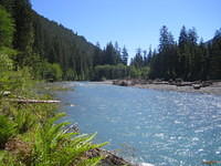 Hoh River