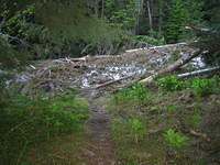 The trail ends here due to avalanche damage