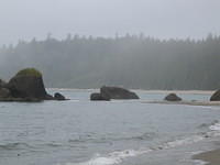 Bald eagle on the middle rock