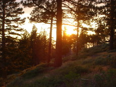 PCT - Angeles Mountains