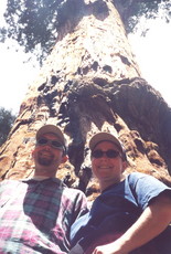 Sequoia National Park