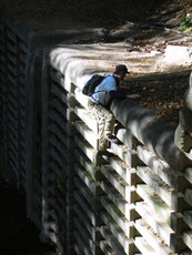 Chantry Flats February 2004