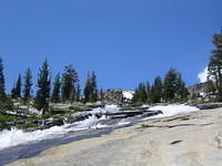 IMG_1813.jpg