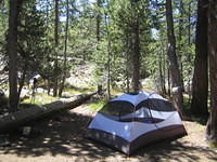 IMG_5916.jpg