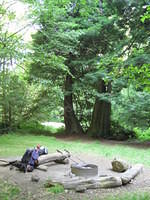 Our campsite in the School Marm redwood grove