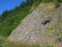 Throughout the hike, the rock formations were amazing.  They were sculpted by centuries of seismic activity.